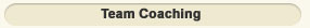 Team Coaching